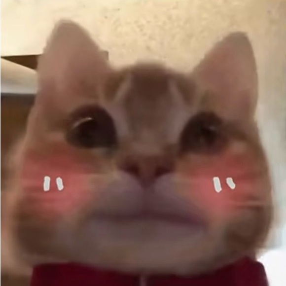 wonyeongyu